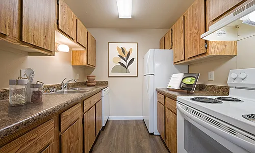 Silver Springs Apartment Homes Photo 1