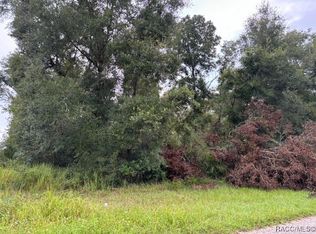 9299 N Sagamore Ter, Citrus Springs, FL 34434