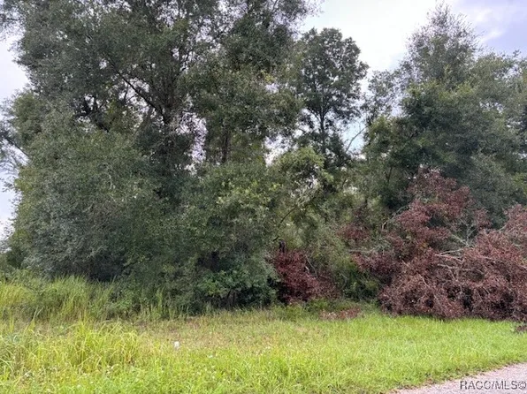 9299 N Sagamore Ter, Citrus Springs, FL 34434