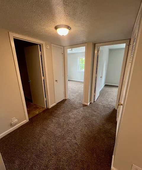 326 Battle Ave #B13 — Photo 7