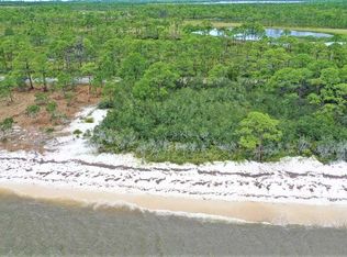 407 Bald Point Rd, Panacea, FL 32346