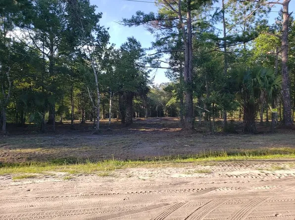 4620 Jonathan St, Hastings, FL 32145