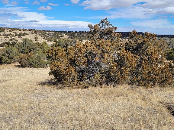 2nd image of County Road 504