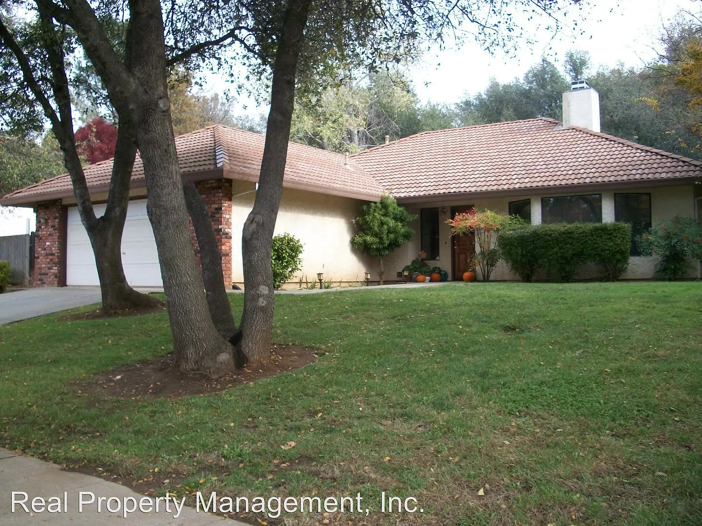 3665 Canterbury Dr photo 1