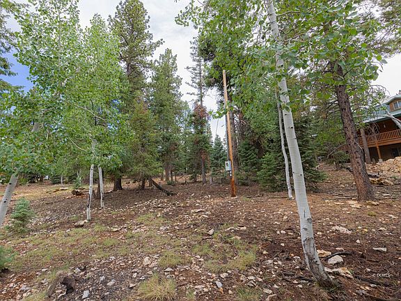 5th image of 710 E Whispering Pines Dr