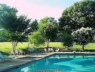 Swimming Pool 1