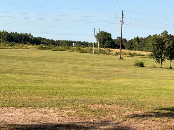2450 Bud Black Rd, Auburn, AL 36879