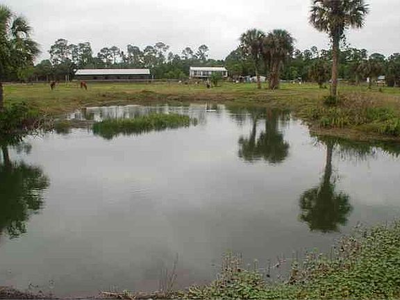 Large Fishing Pond