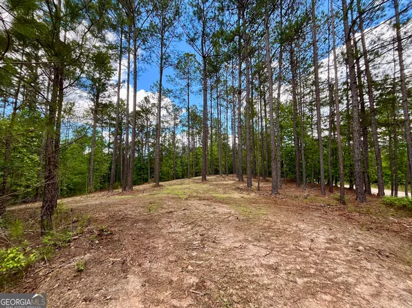 0 Rollin Mill Rd #2, Franklin, GA 30217