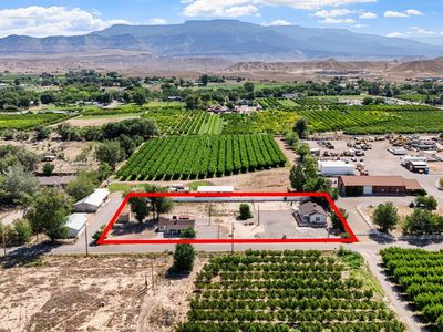 314-33 1/2 Rd, Palisade, CO, 81526