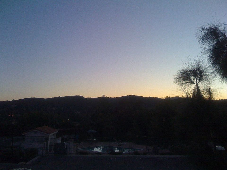 The view