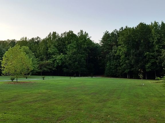  Woods from front porch