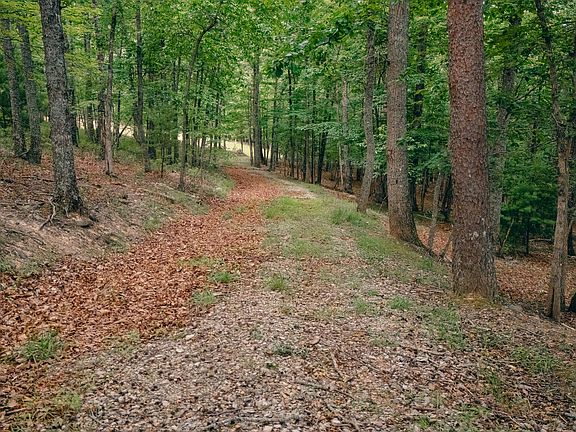 2nd image of 0 Johns Creek Rd