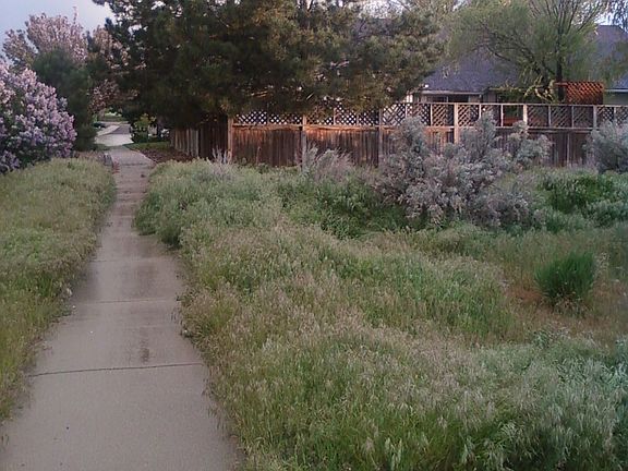 From bike trail;lead to Rec Ctn, Trailwinds Elem; LesBois Jr Hi