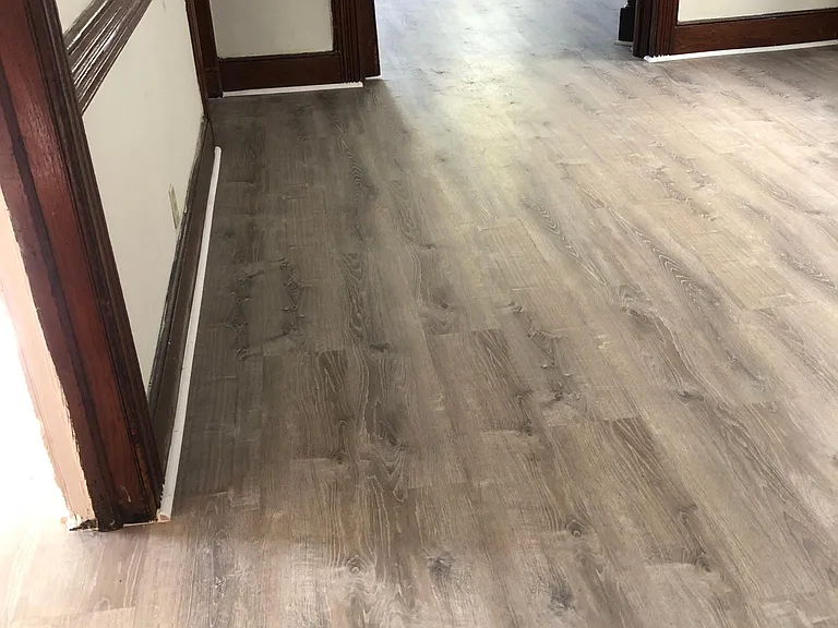 4 Duncan Ct #2 — Photo 5