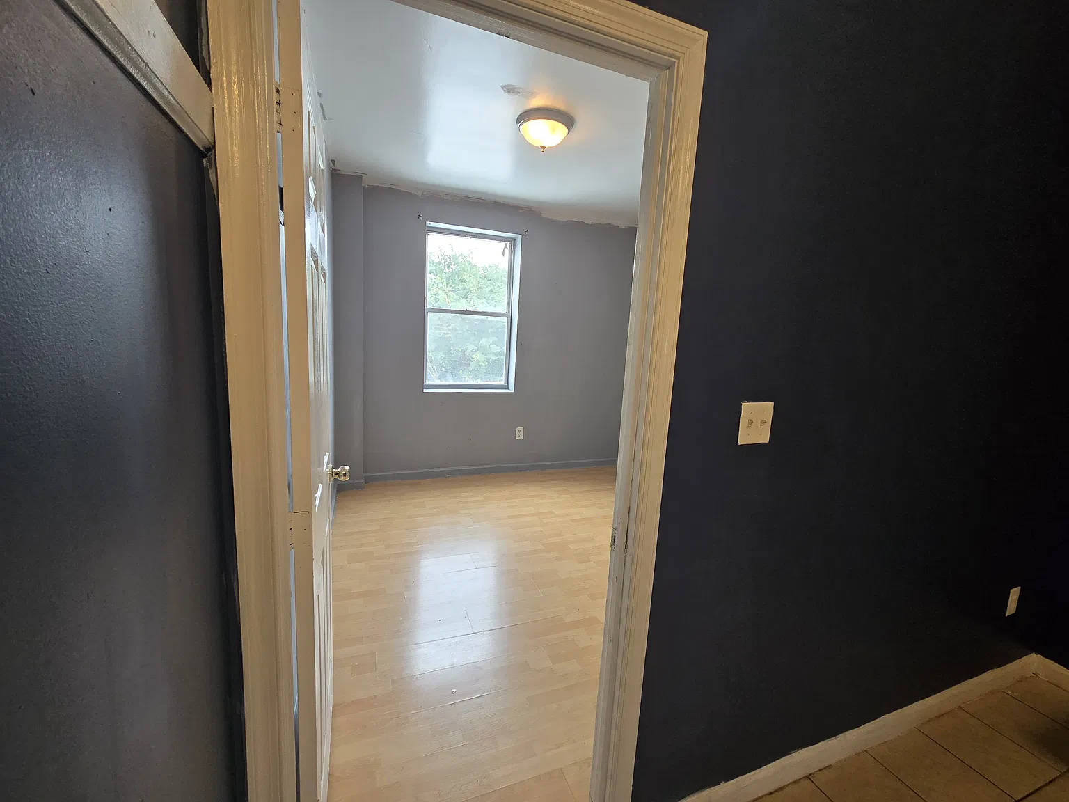 2 bed, 800 sqft, $1,250 — Photo 4