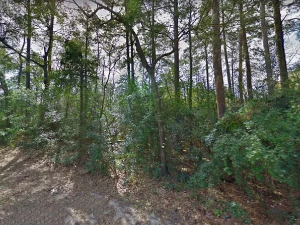294 Apple Valley Dr, Panorama Village, TX 77304