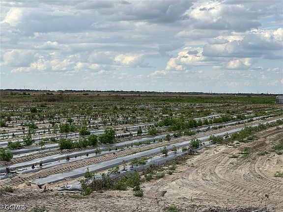 4th image of 6550 1st Rd