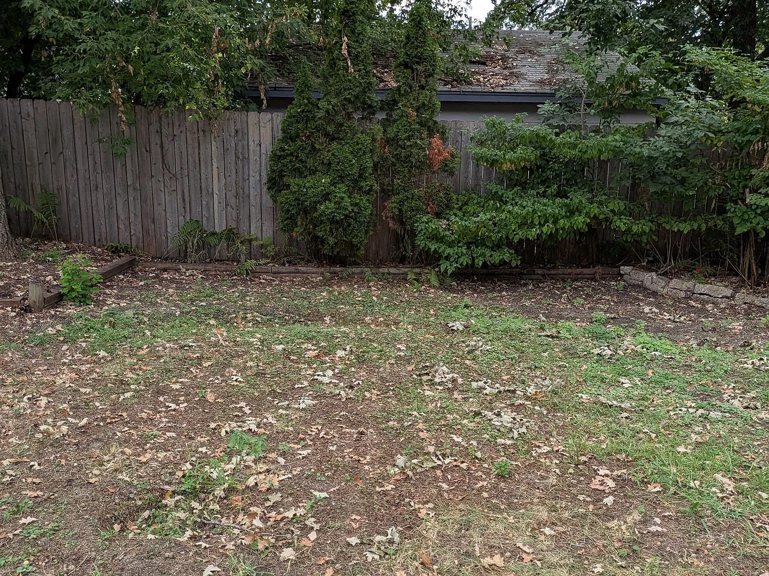 2 bed, 1040 sqft, $1,500 — Photo 4