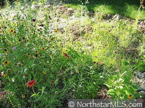 4th image of 1833 N Park Dr