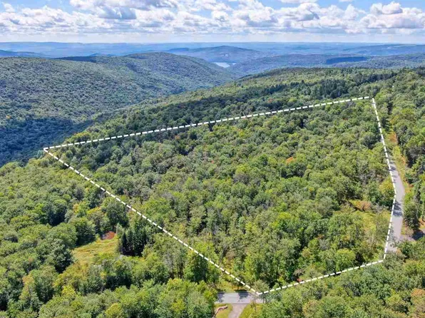 Tbd Red Hill Road Denning, Claryville, NY 12725