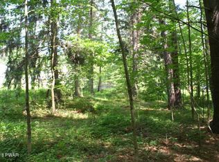 Peggy Runway Rd, Beach Lake, PA 18405