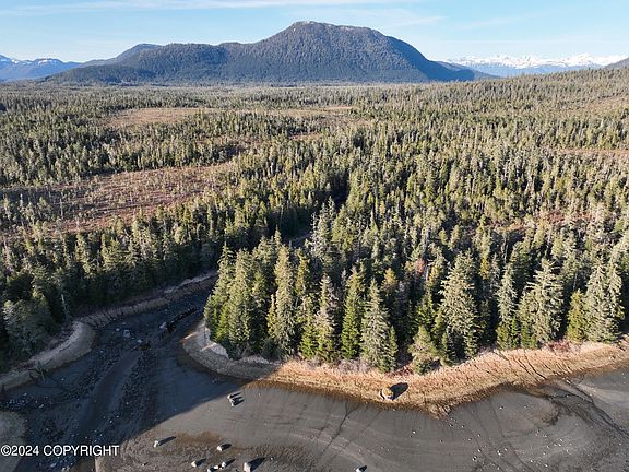 2nd image of LOT 14 S Mitkof Hwy