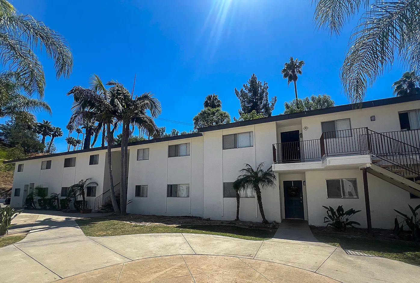 Palm Vista Apartments — Photo 4