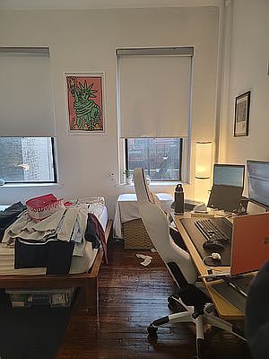 2nd image of 177 E Houston St APT 1F