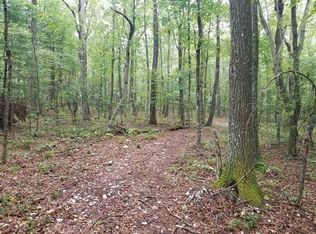 0 SE Silverleaf Rd, Floyd, VA 24091