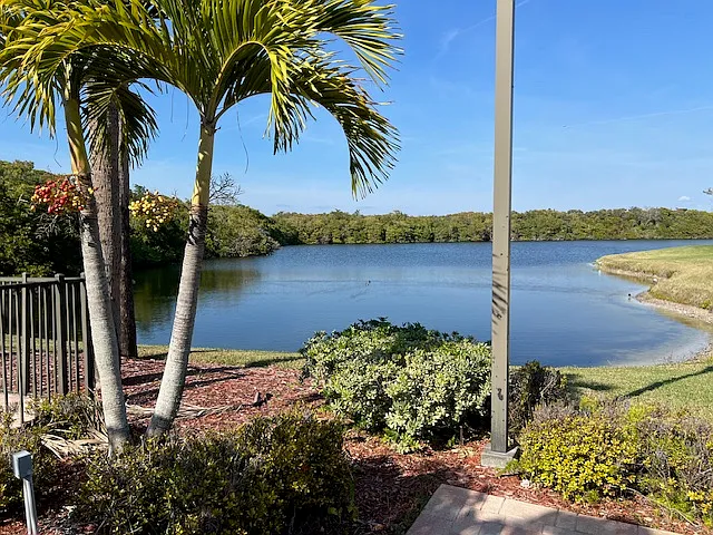 View of the lake from pool and clubhouse