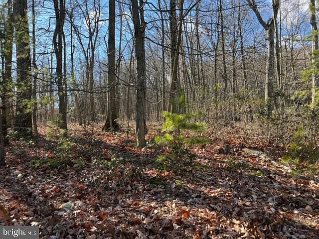 2nd image of LOT 43 Richmond Rd