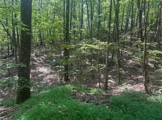 101 Deer Run #11N, Jasper, GA 30143