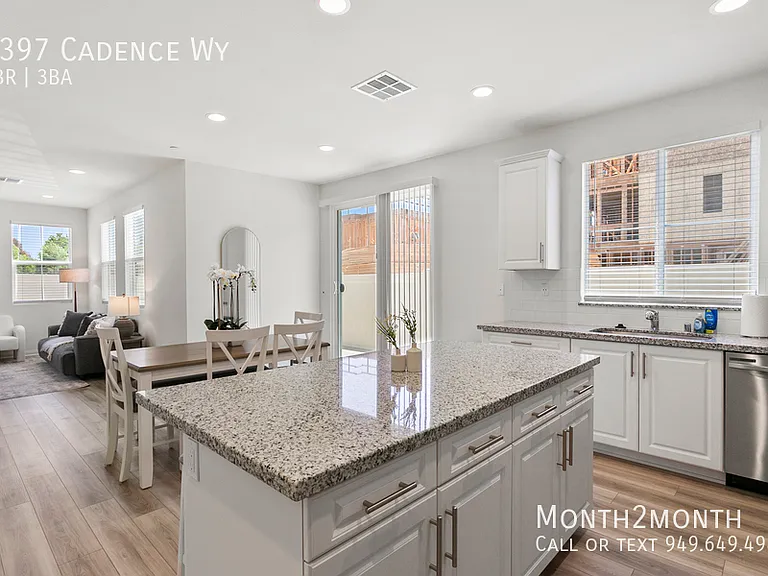 4397 Cadence Way — Photo 7