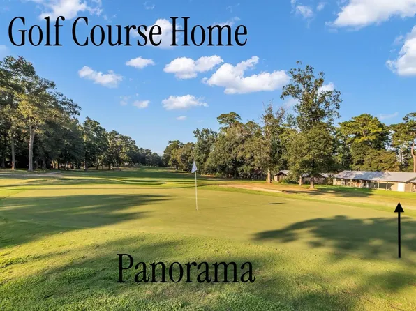 254 Point Clear Dr, Conroe, TX 77304