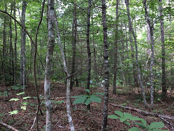 2nd image of 0 White Oak Creek Ln Lot 13
