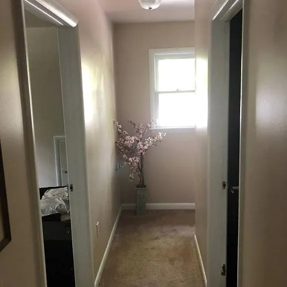 589B Shelbourne Rd — Photo 16