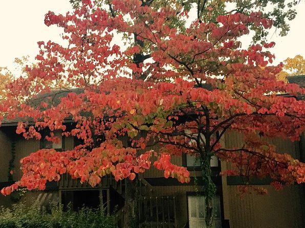 1201 N Pierce St APT 38