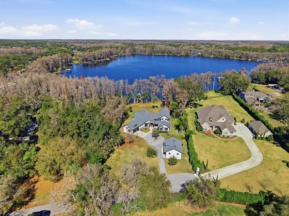 16320 Rock Lake Dr, Odessa, FL 33556