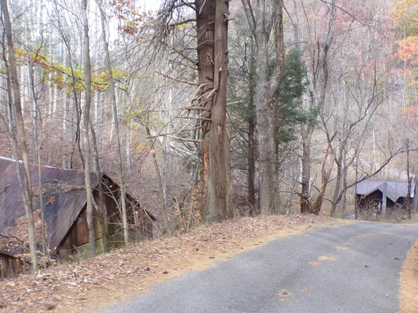 Brushy Fork Rd, Trade, TN 37691