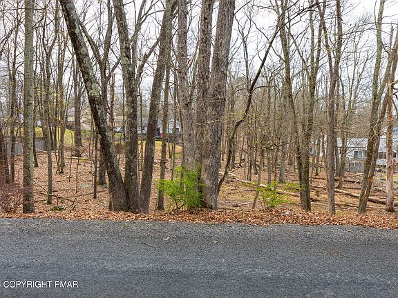 5th image of Seneca Rd