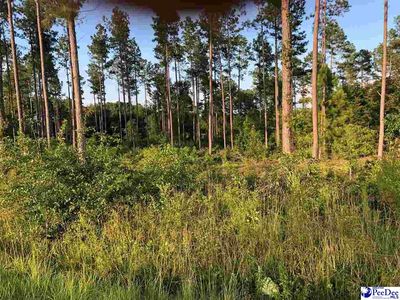 166 Snow Hill Rd, Chesterfield, SC, 29709