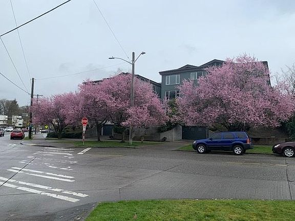 2nd image of 4250 34th Ave W APT 309