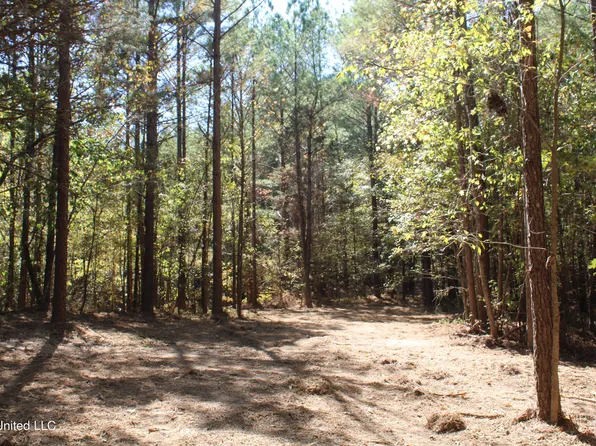 1499 Robison Rd, Batesville, MS 38606