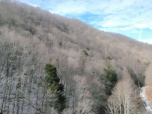 Carlock Creek Rd, Chilhowie, VA 24319