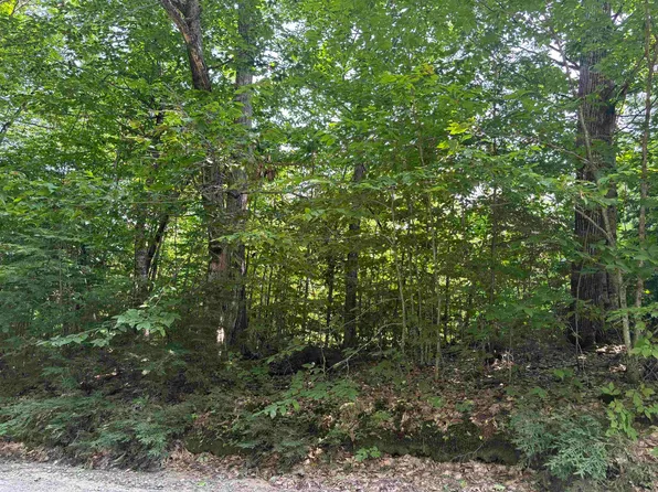 Lot 47 Dick Brown Road #47, Bridgewater, NH 03222