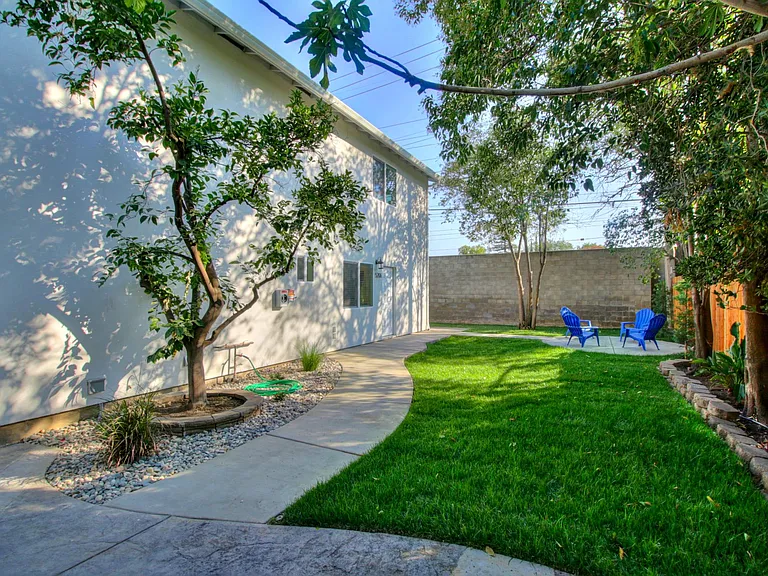 backyard view 2