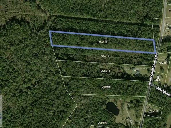 12 Mount Olivet Church Rd, Fleming, GA 31309
