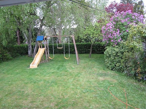 back yard