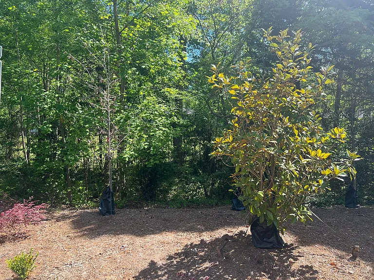 1356 Briar Creek Rd — Photo 14